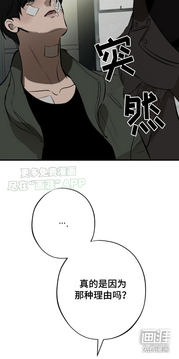 第12章：选择