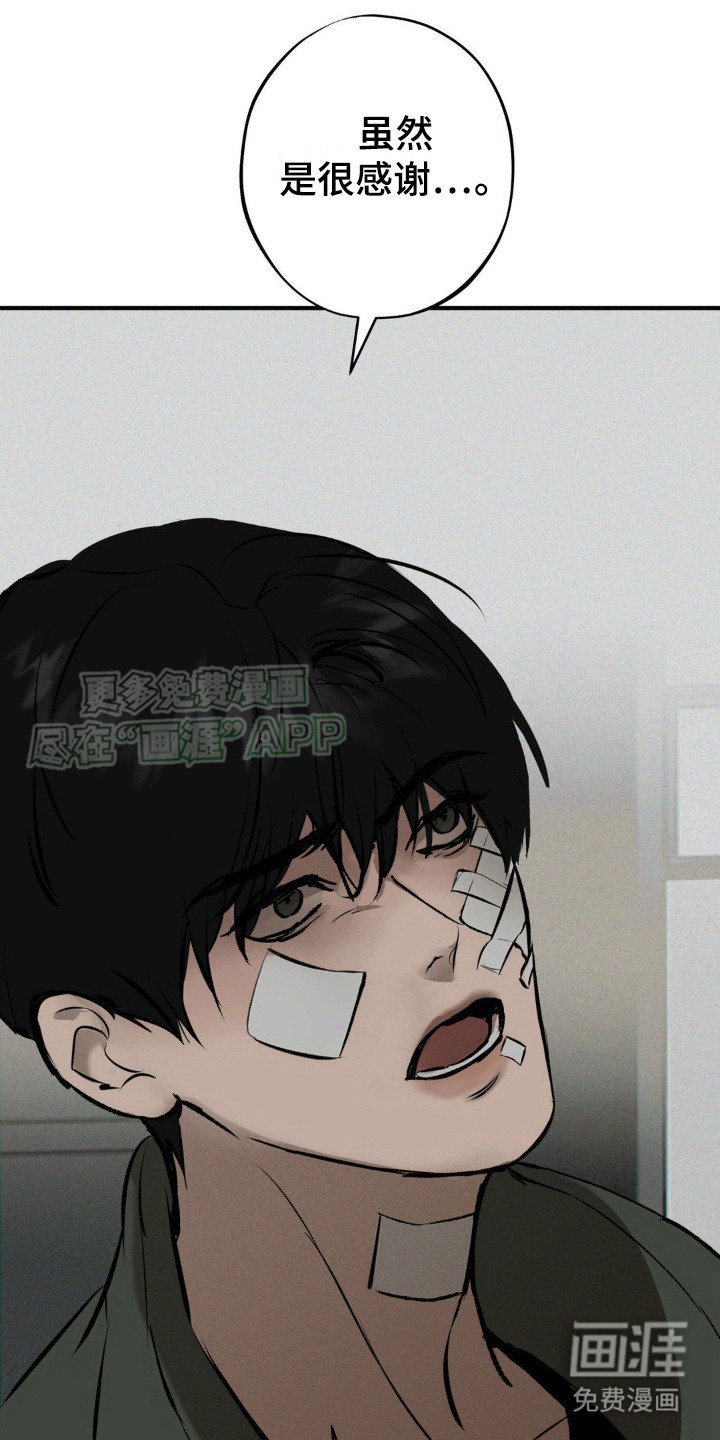 第12章：选择