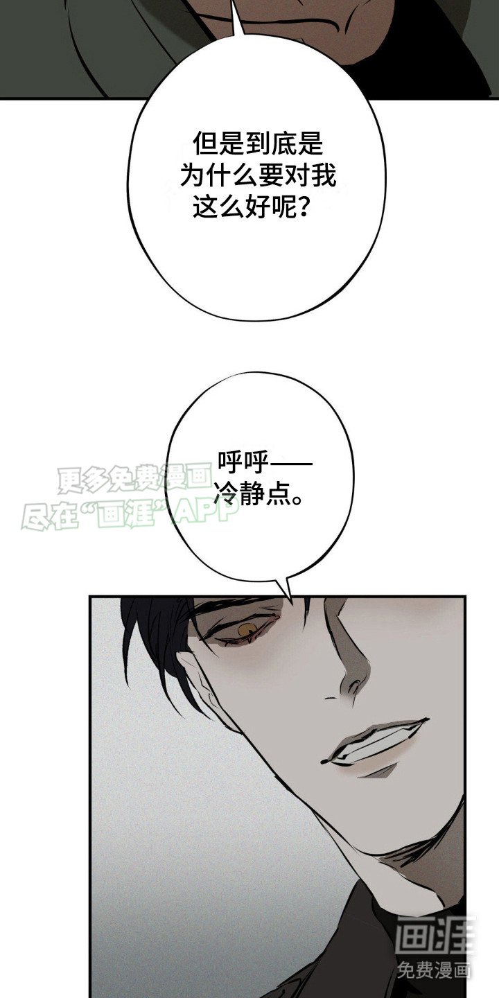 第12章：选择