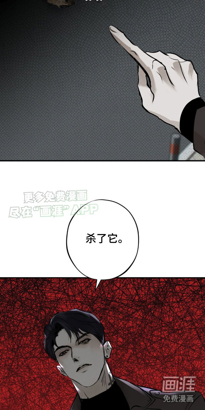 第16章：测试
