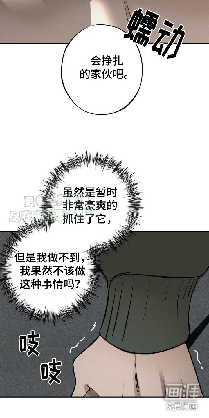 第16章：测试