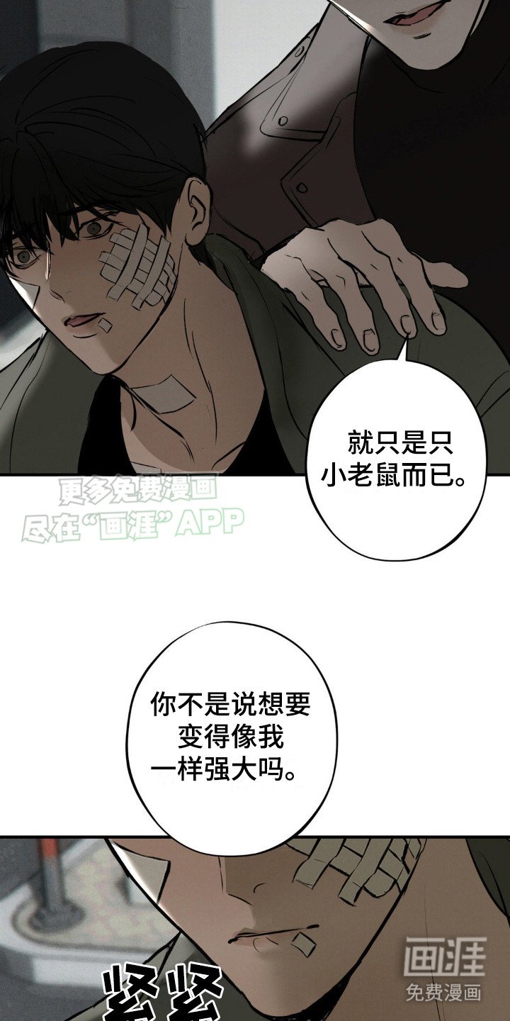 第16章：测试