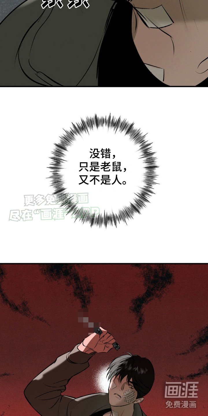 第16章：测试