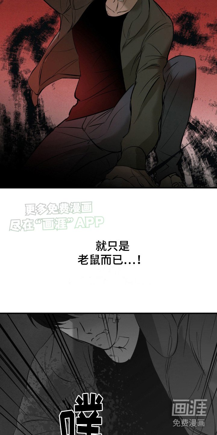 第16章：测试