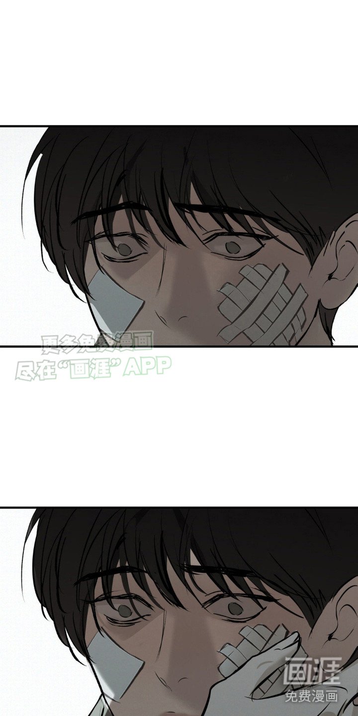 第16章：测试