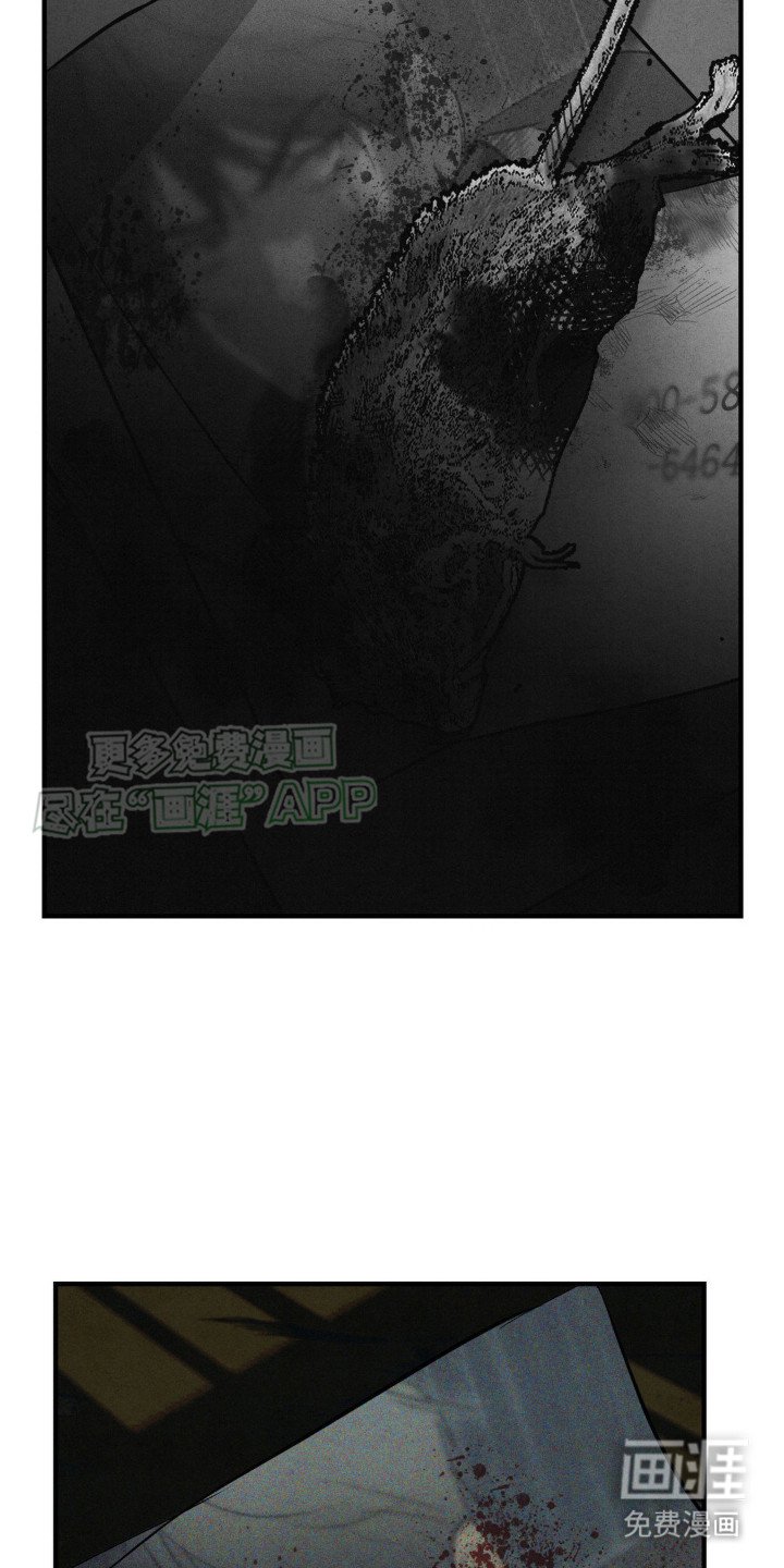 第16章：测试