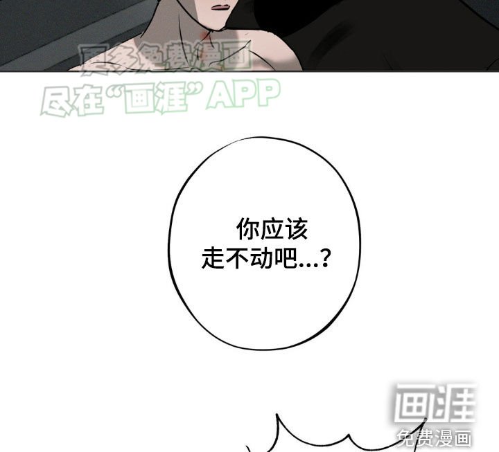 第23章：我喜欢你