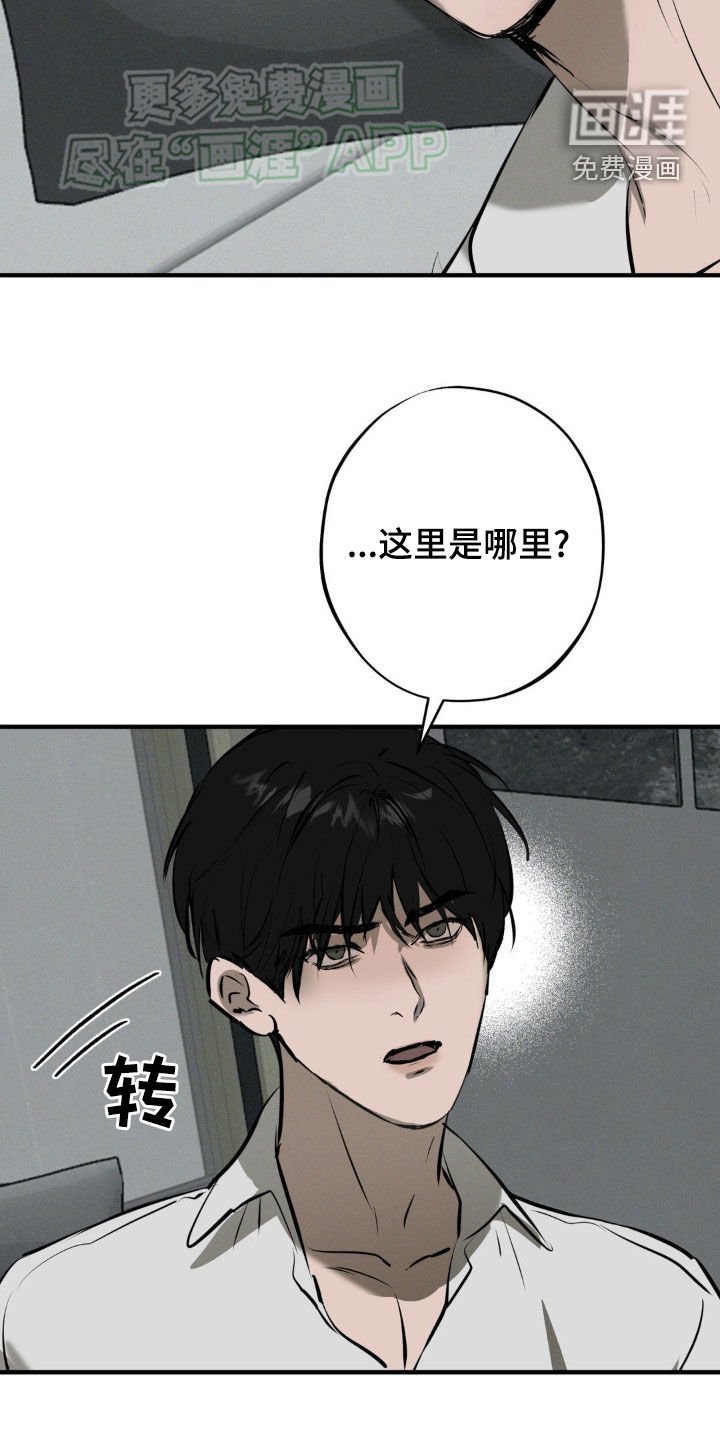 第23章：我喜欢你