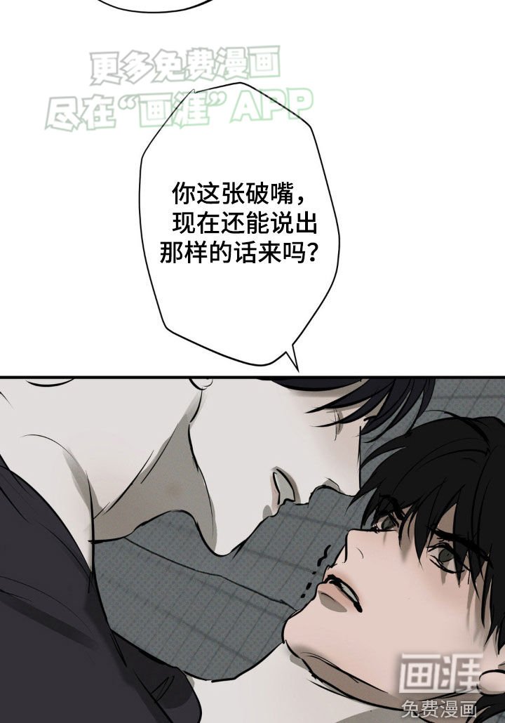 第23章：我喜欢你