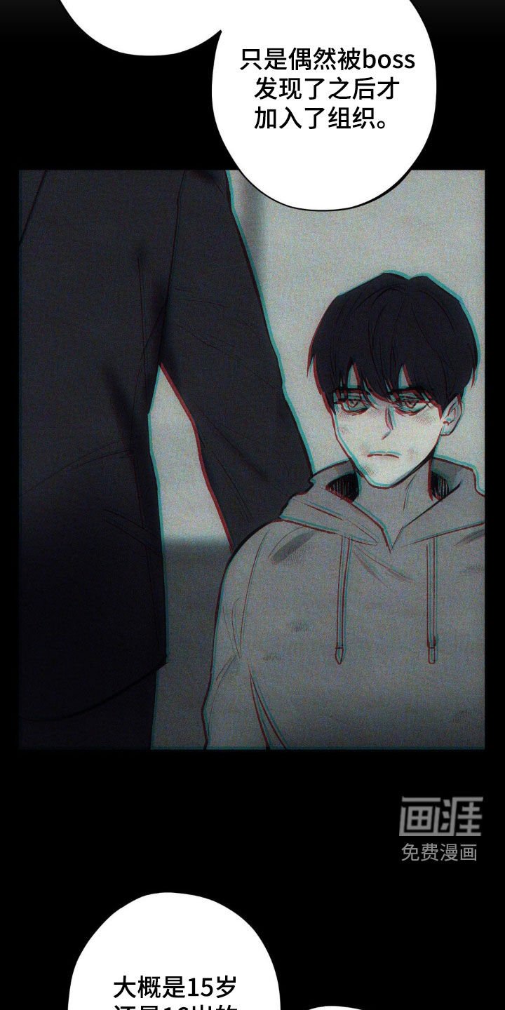 第24章：经历