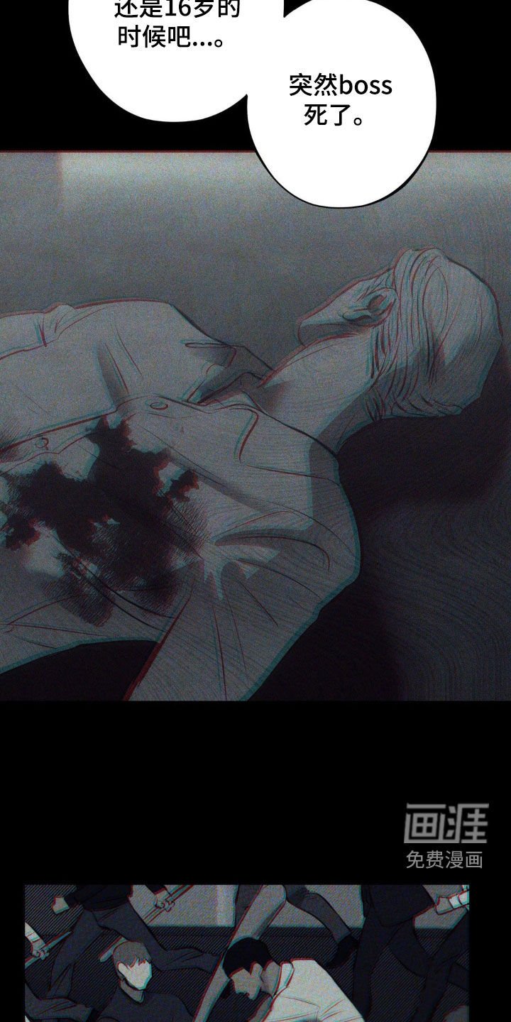 第24章：经历