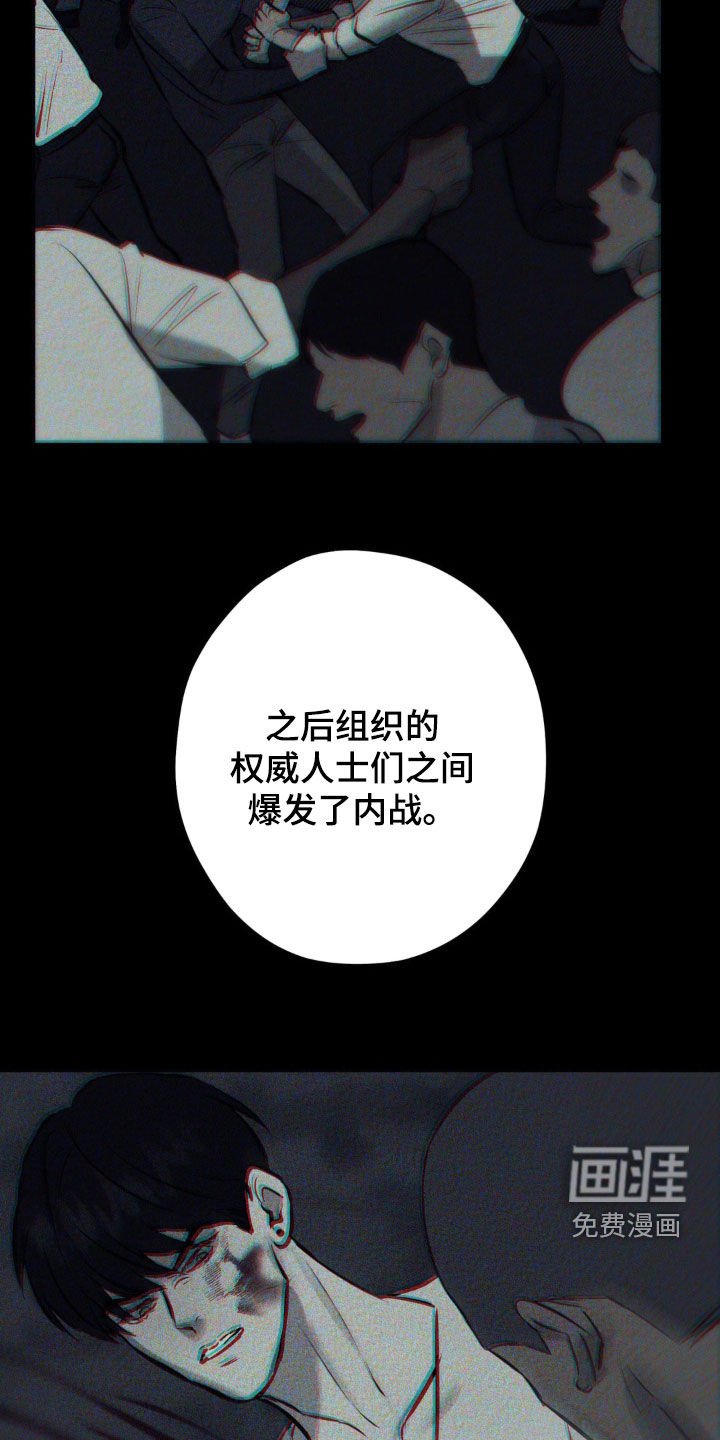 第24章：经历