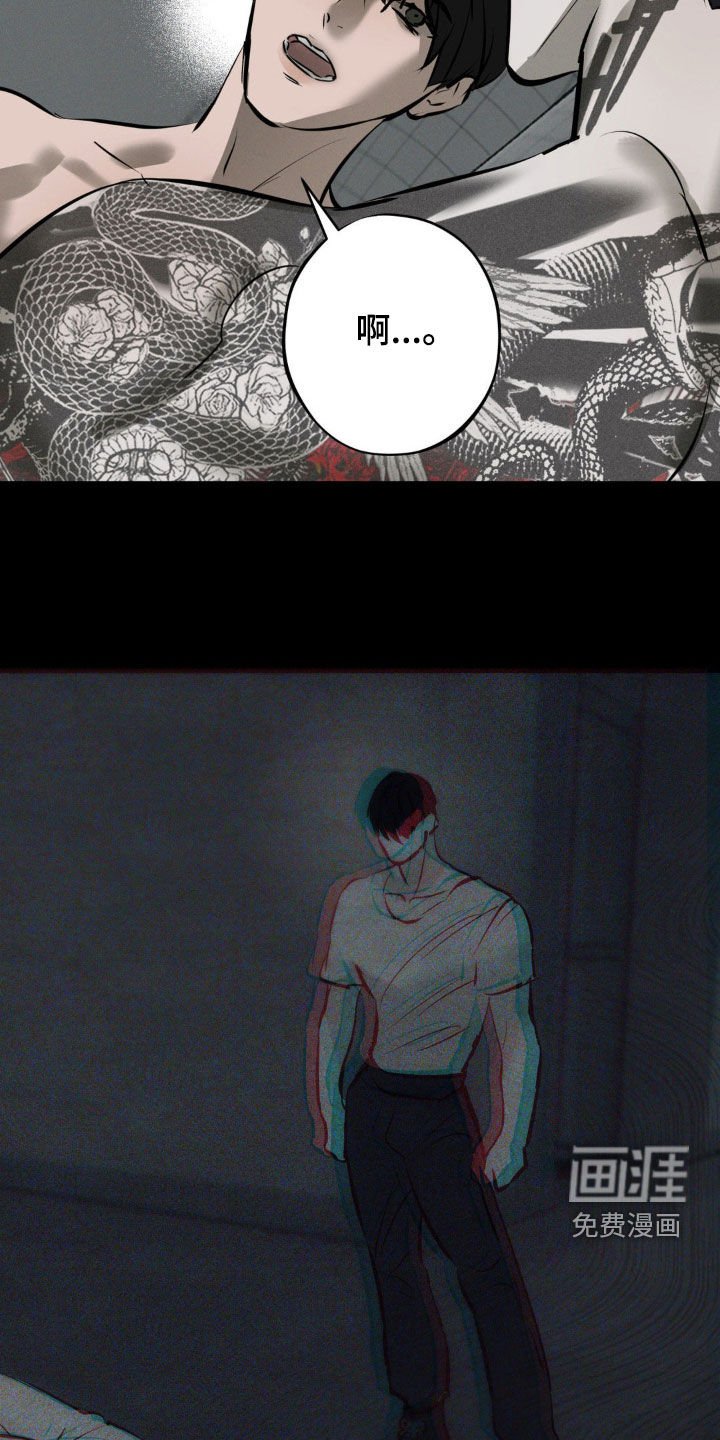 第24章：经历