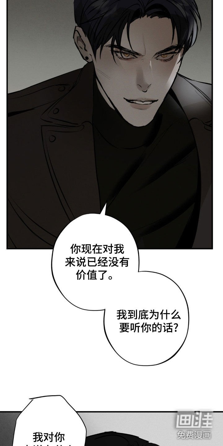 第29章：价值
