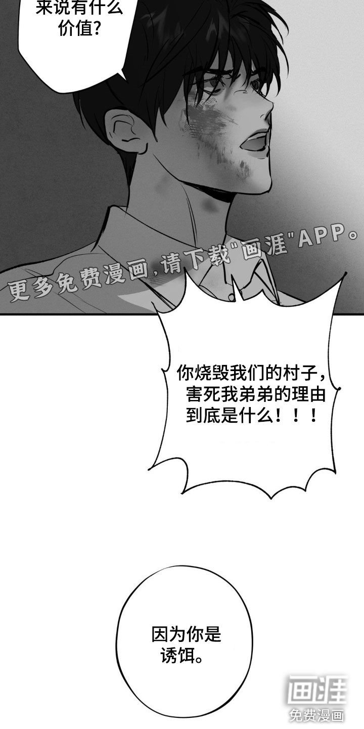 第29章：价值