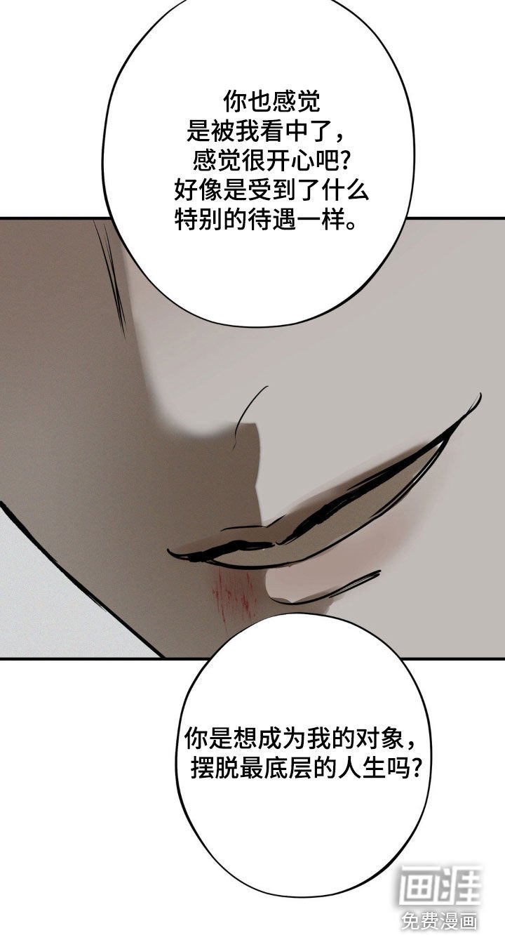 第29章：价值