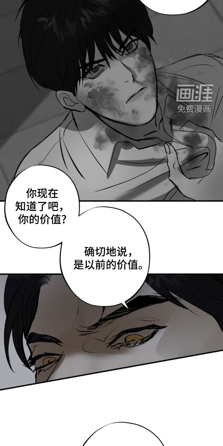 第29章：价值