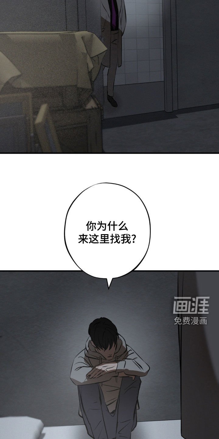 第33章：推下悬崖