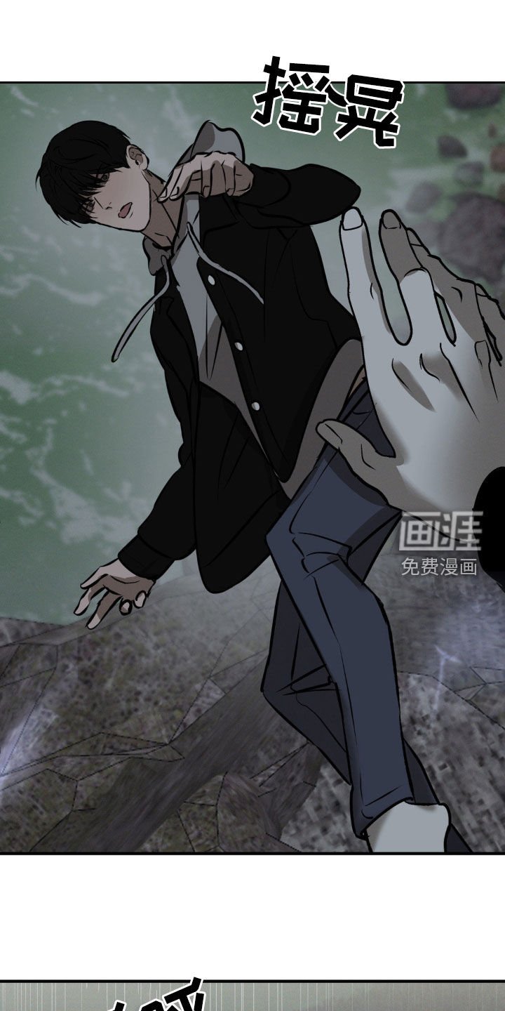 第34章：我把他放了