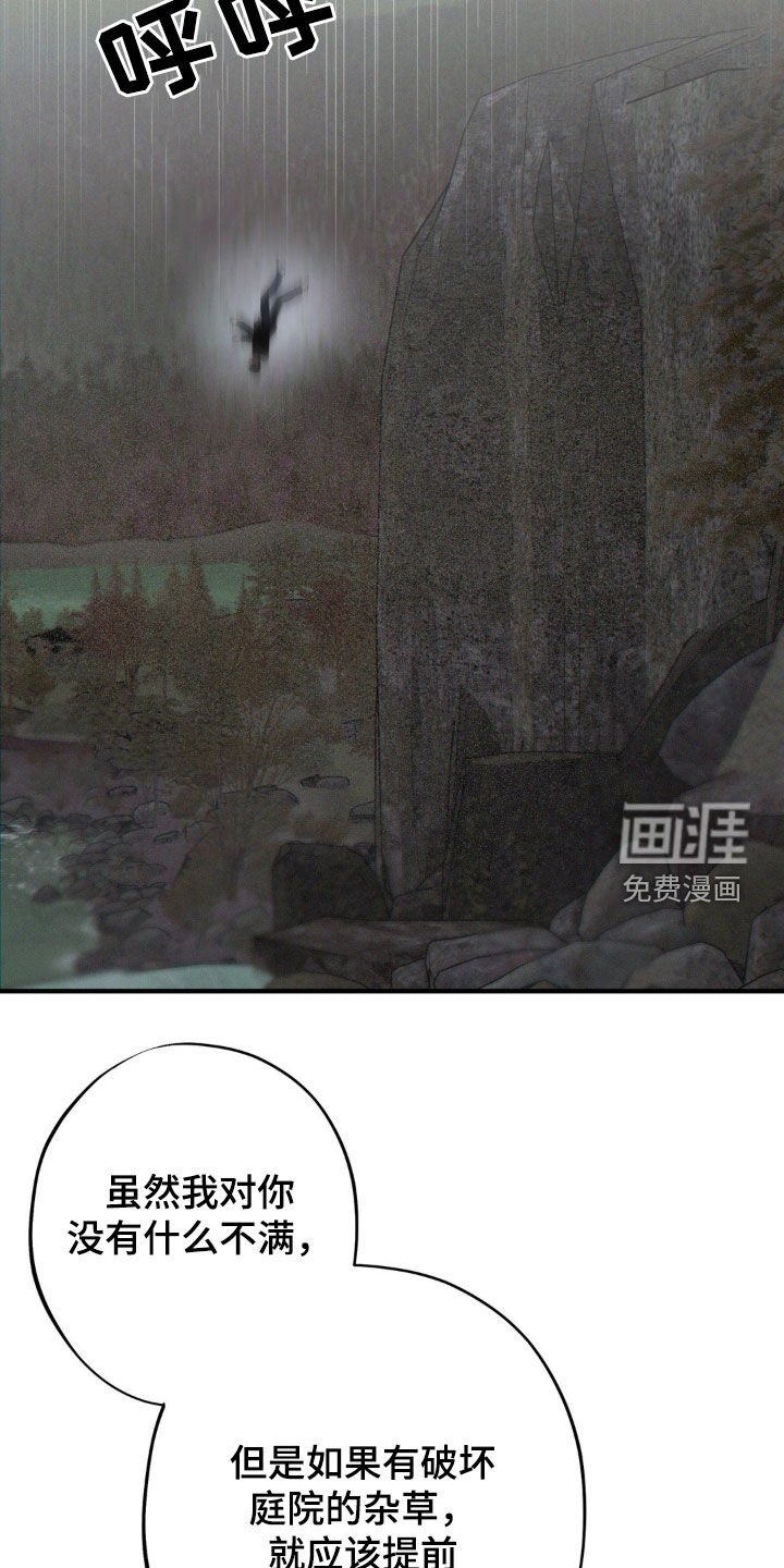 第34章：我把他放了
