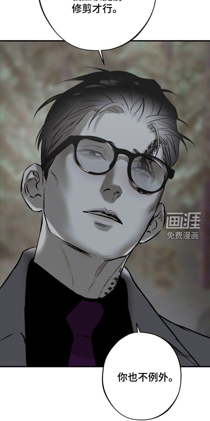 第34章：我把他放了