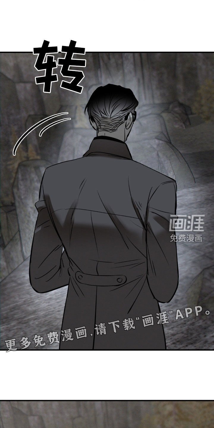 第34章：我把他放了