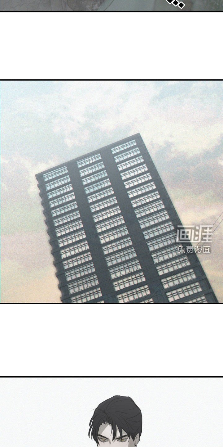 第34章：我把他放了