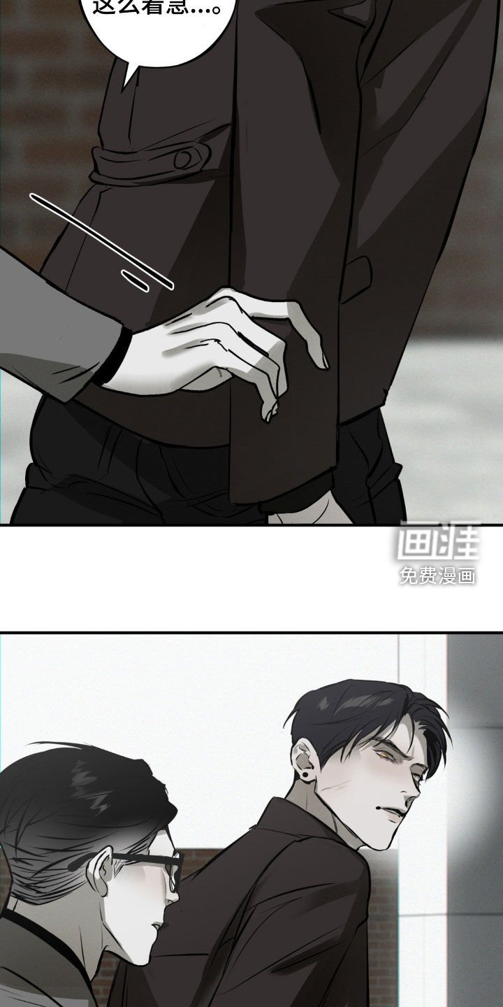 第34章：我把他放了