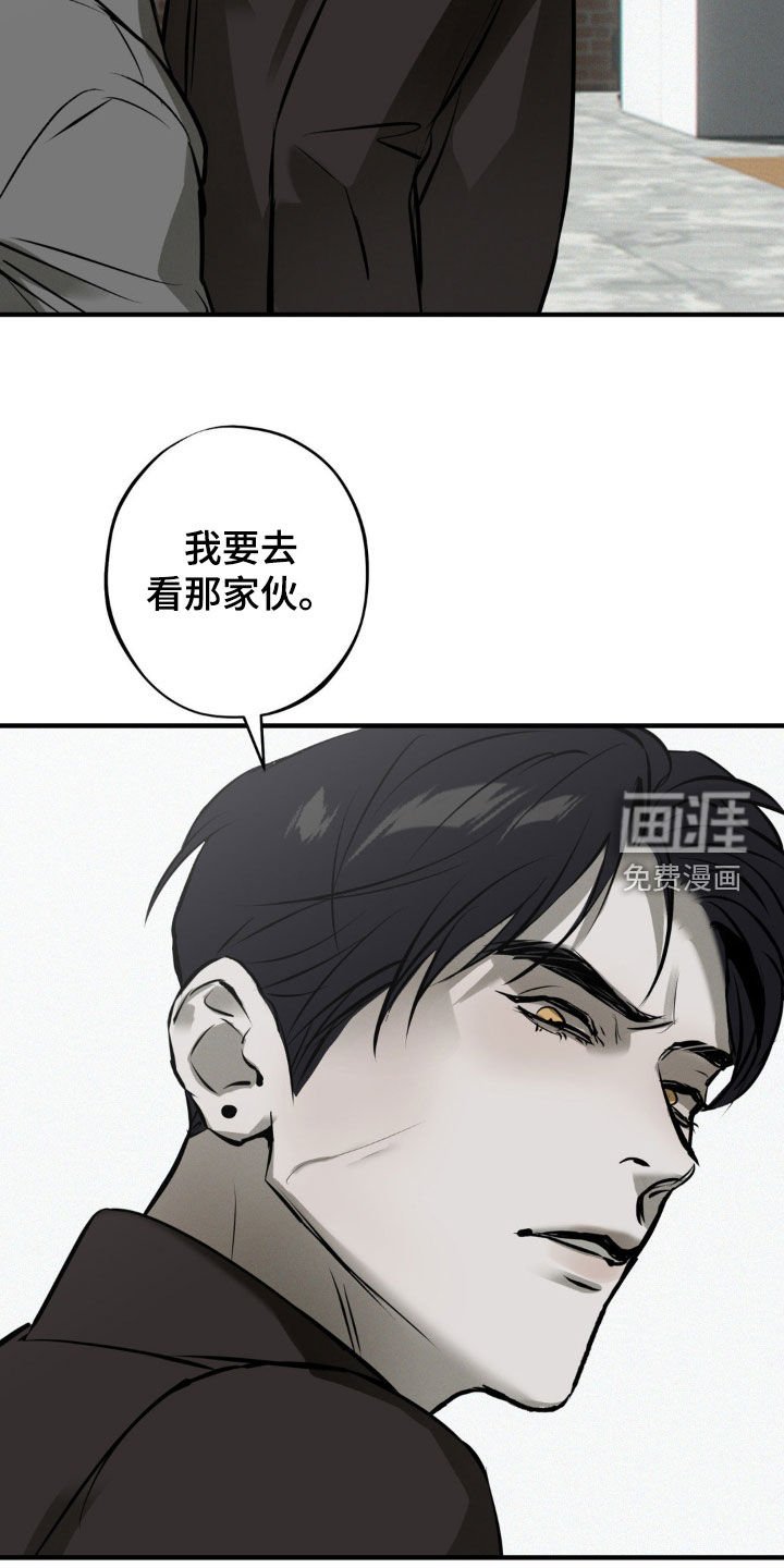 第34章：我把他放了