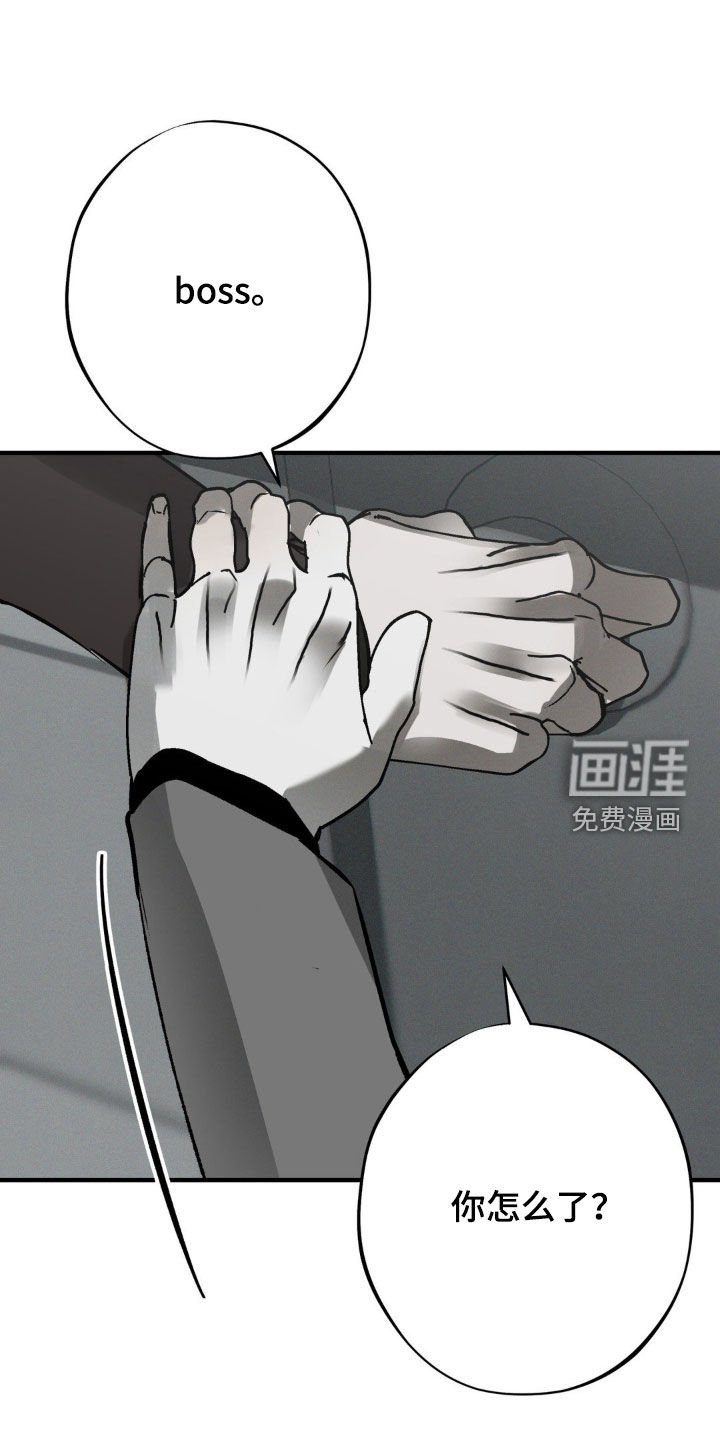 第34章：我把他放了