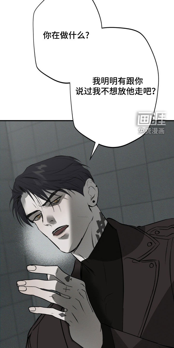 第34章：我把他放了