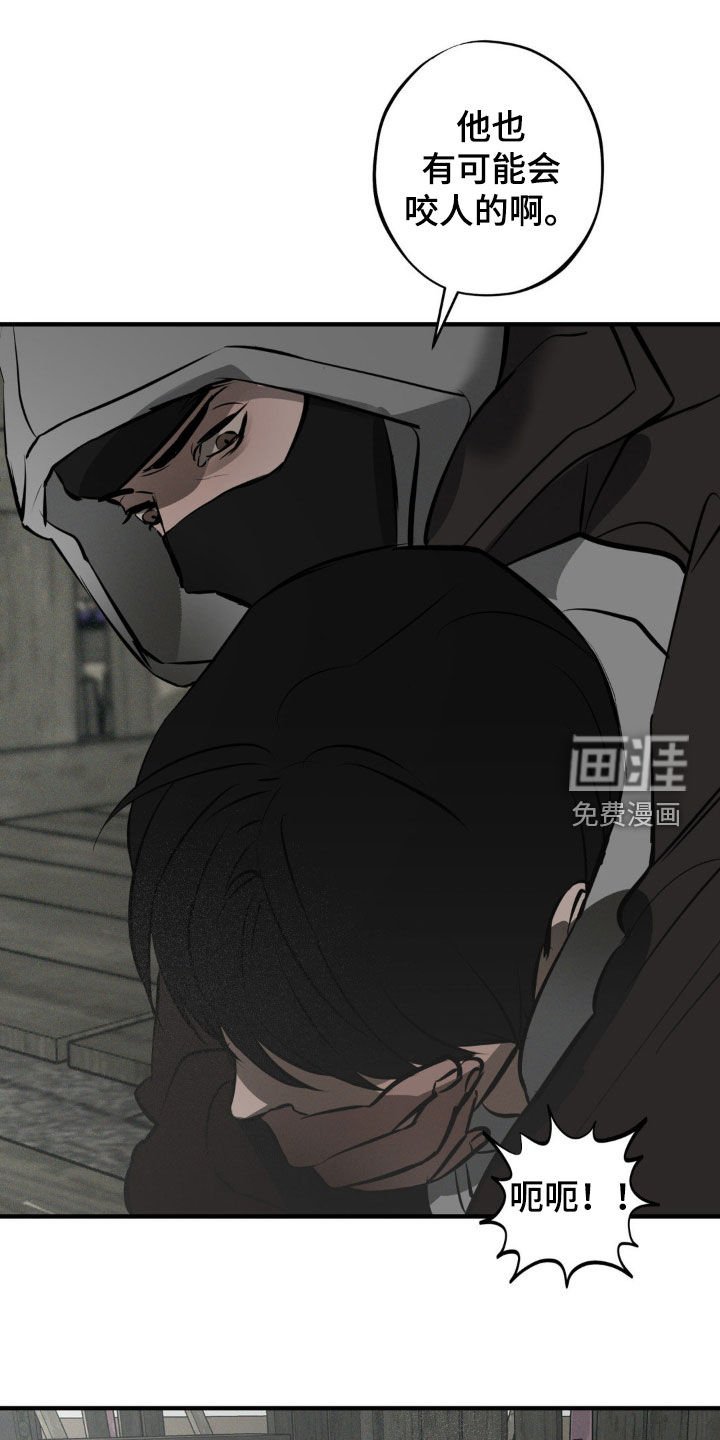 第36章：有人来了