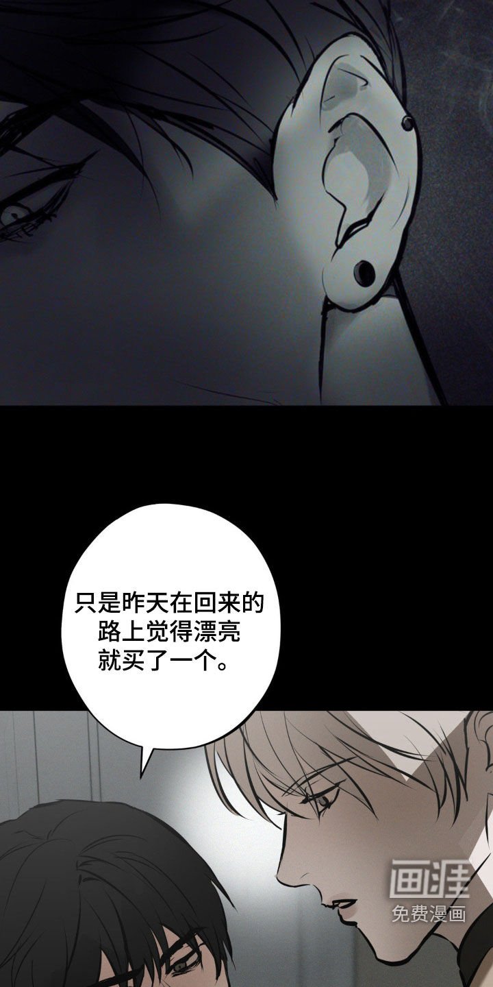 第38章：心意