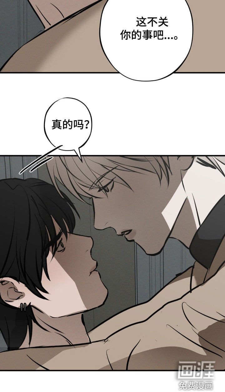 第38章：心意