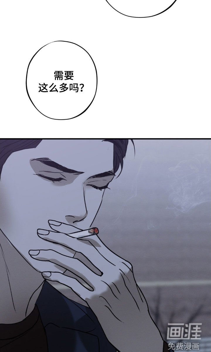 第39章：白色城市