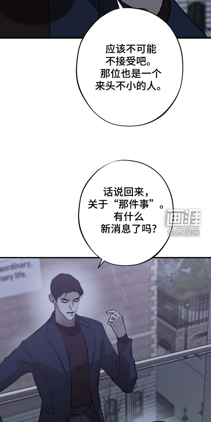 第39章：白色城市