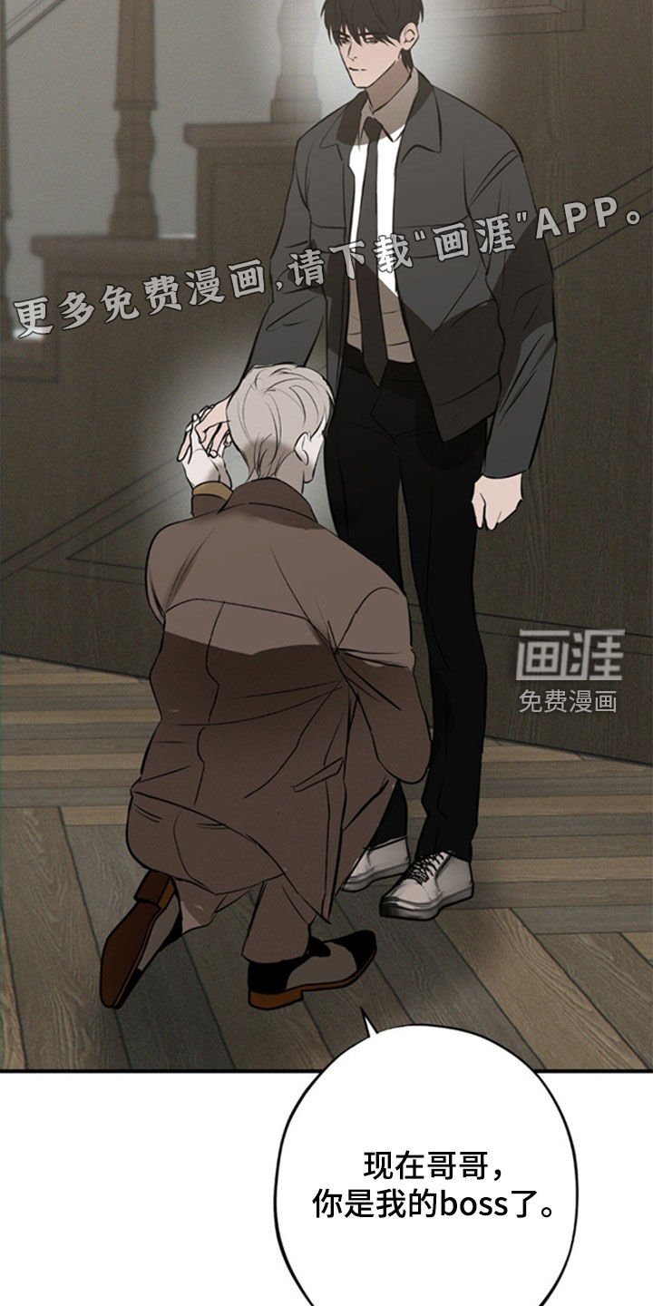 第41章：不会动摇