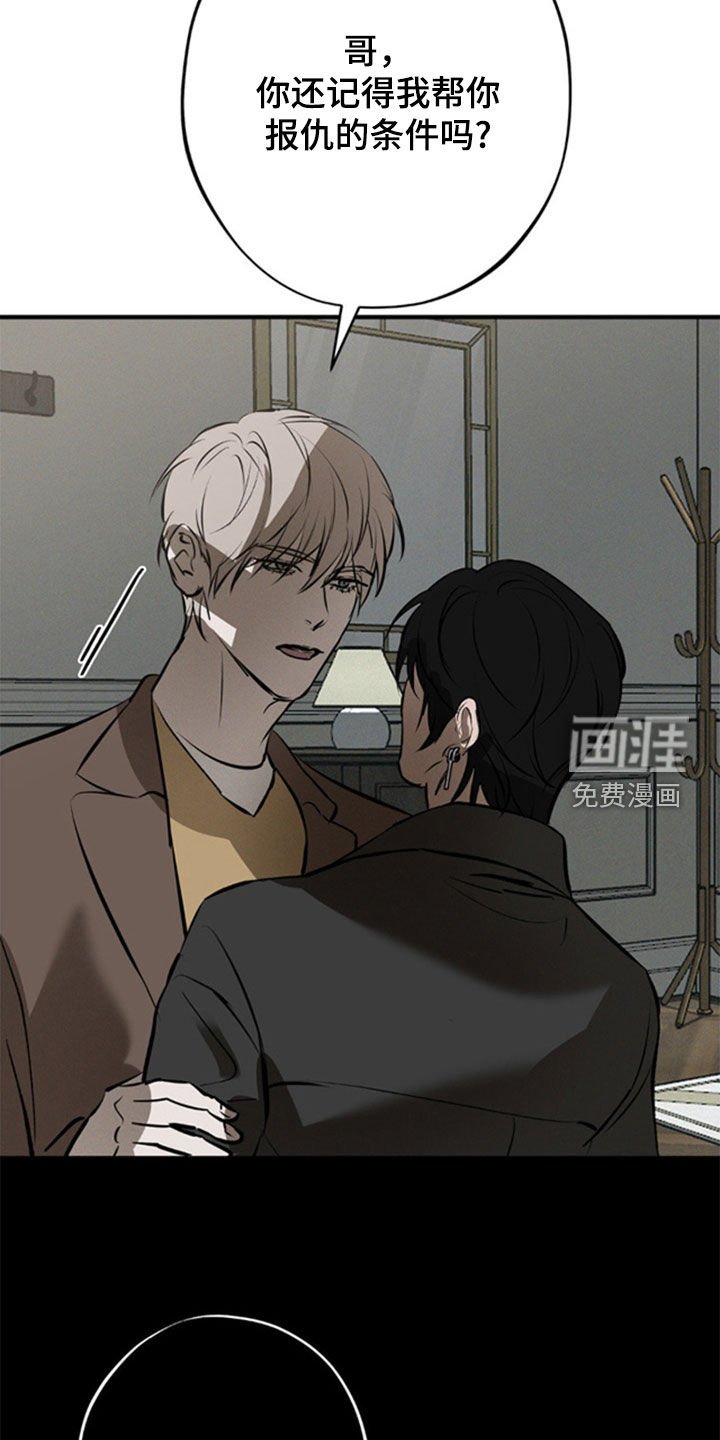 第41章：不会动摇