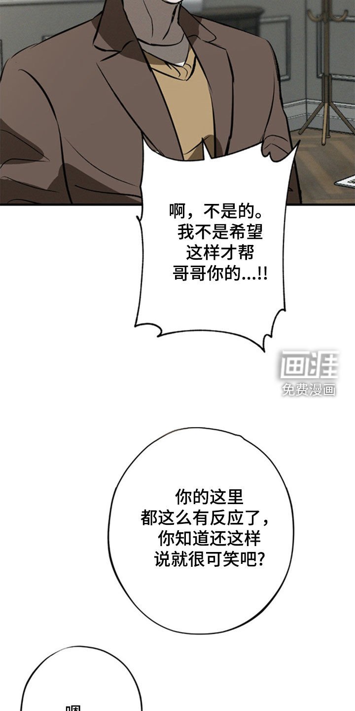 第41章：不会动摇