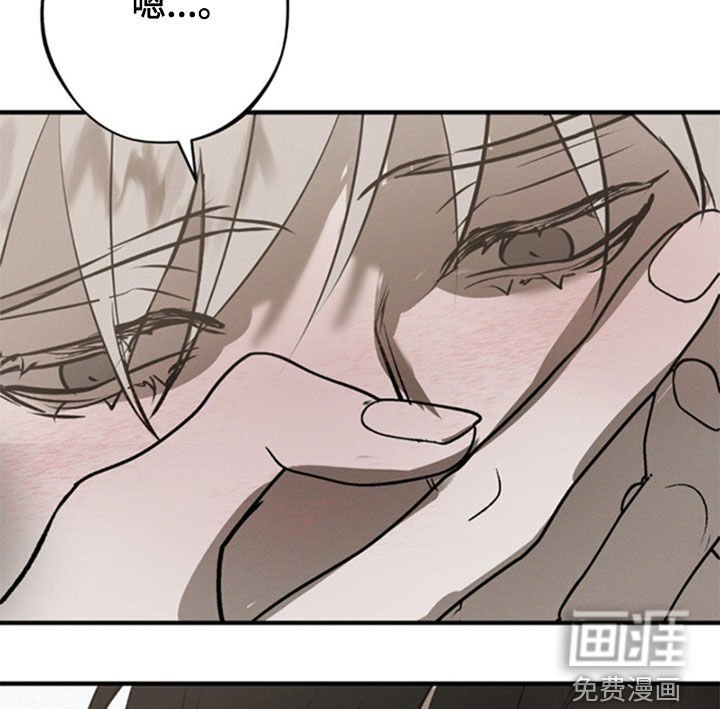 第41章：不会动摇