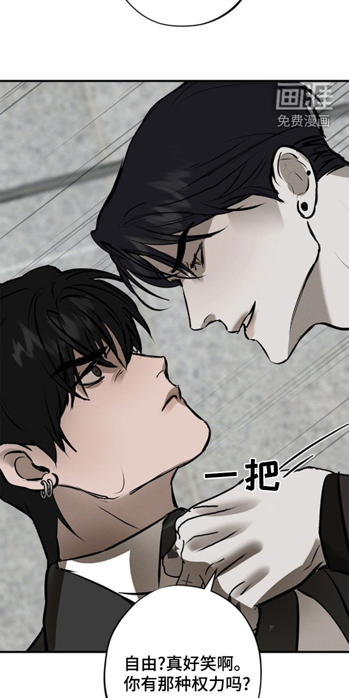 第42章：自由