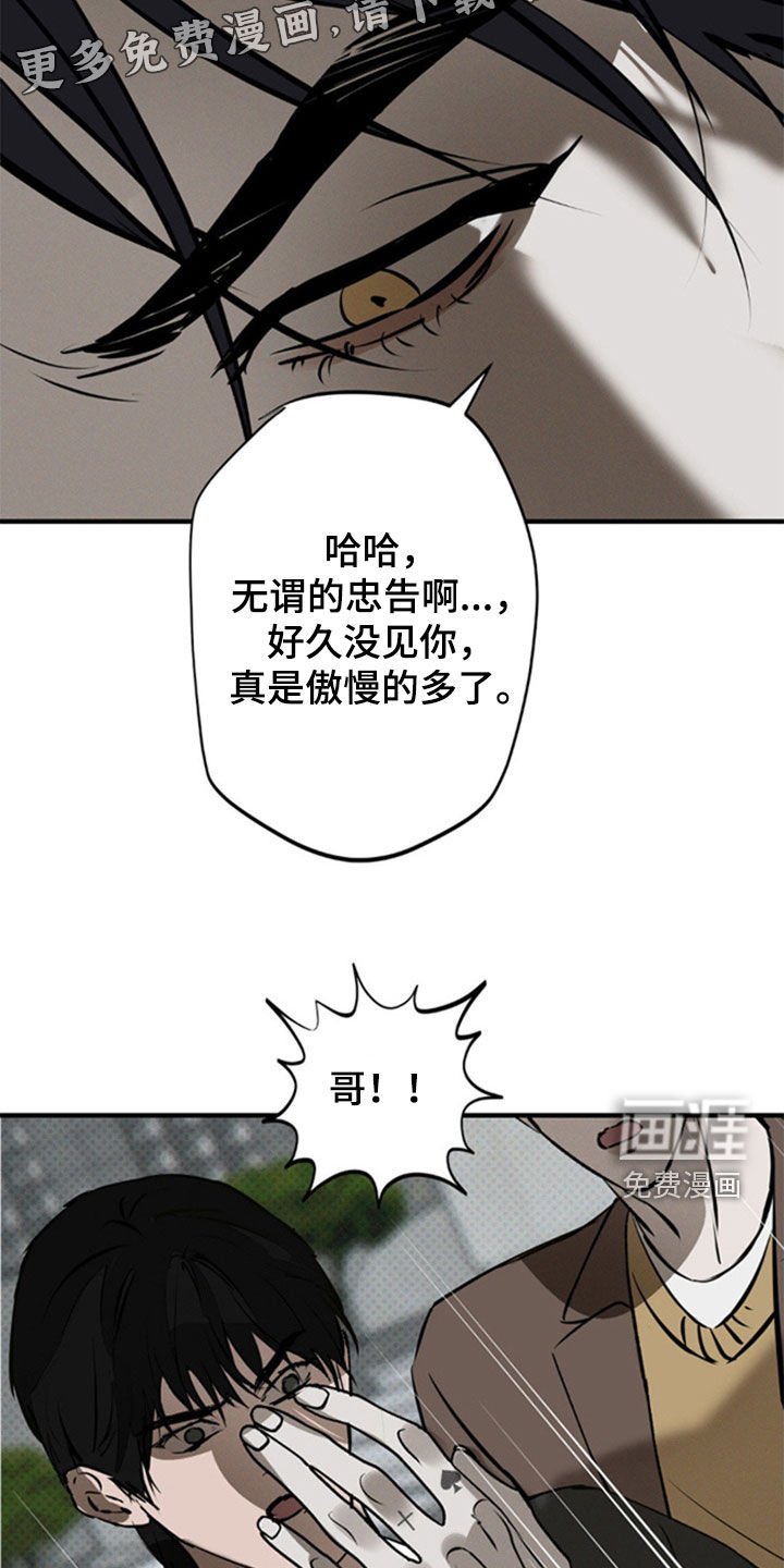 第43章：那就试试看