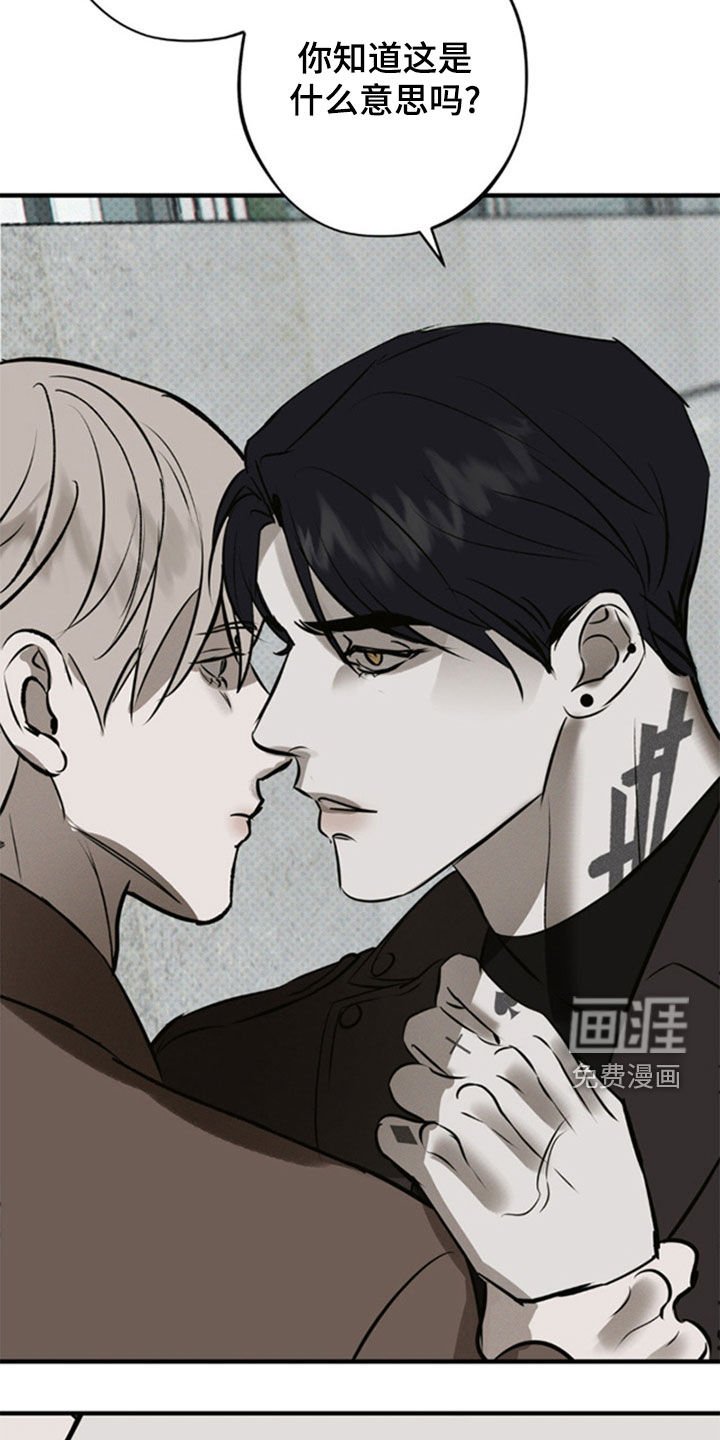 第43章：那就试试看