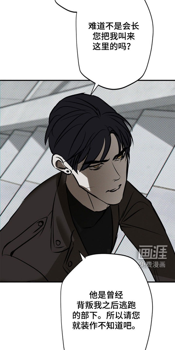 第43章：那就试试看