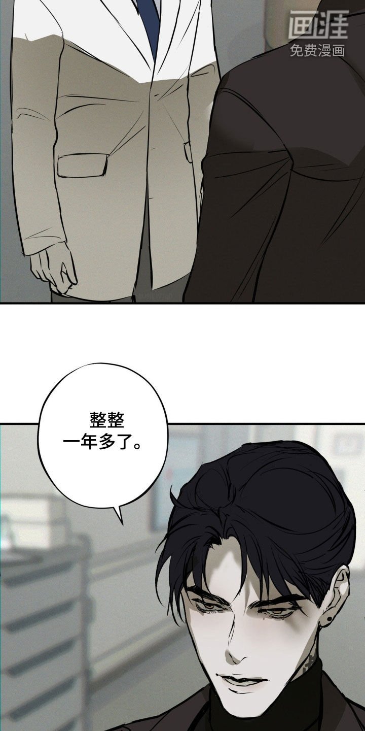 第44章：袭击计划