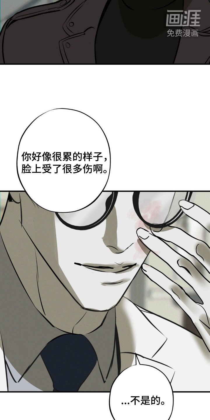 第44章：袭击计划