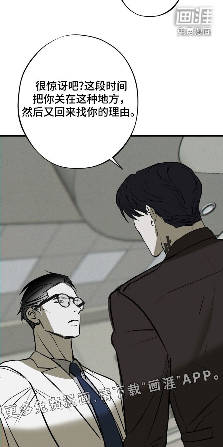 第44章：袭击计划
