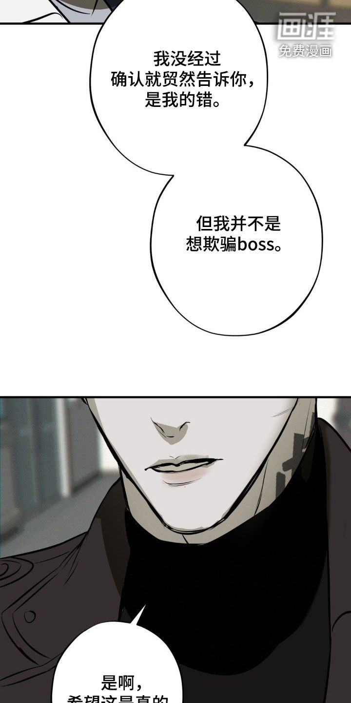 第44章：袭击计划