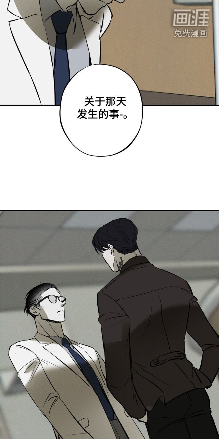 第44章：袭击计划