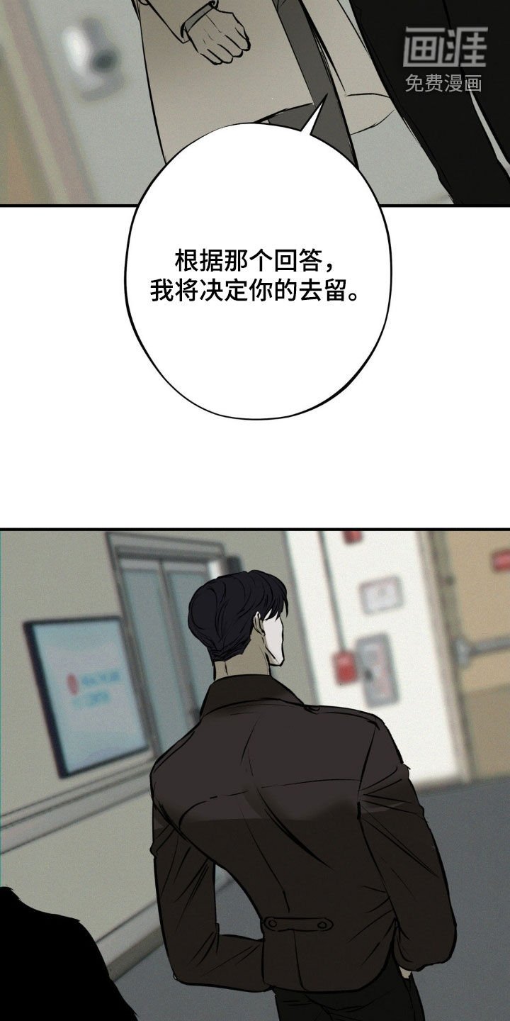 第44章：袭击计划